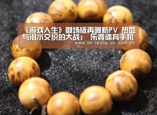  乐竟体育手机应用